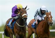 13 May 2012; Yellow Rosebud, left, with Pat Smullen up, leads Duntle, right, with Billy Lee up, on their way to winning the Derrinstown Stud 1,000 Guineas Trial. Leopardstown Racecourse, Leopardstown, Co. Dublin. Picture credit: Barry Cregg / SPORTSFILE