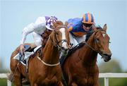 13 May 2012; Light Heavy, left, with Kevin Manning up, crosses the finish line to win the Derrinstown Stud Derby Trial Stakes ahead of second place Tower Rock, right, with Seamus Heffernan up. Leopardstown Racecourse, Leopardstown, Co. Dublin. Picture credit: Barry Cregg / SPORTSFILE