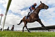 19 August 2017; Order of St. George, with Ryan Moore up, on their way to winning the Comer Group International Irish St Leger Trial Stakes during the Paddy Power Raceday at the Curragh Racecourse in Kildare. Photo by Eóin Noonan/Sportsfile