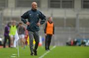 30 July 2017; Roscommon selector Liam McHale during the GAA Football All-Ireland Senior Championship Quarter-Final match between Mayo and Roscommon at Croke Park in Dublin. Photo by Piaras Ó Mídheach/Sportsfile