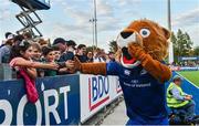 25 August 2017; Leo The Lion during the Bank of Ireland pre-season friendly match between Leinster and Bath at Donnybrook Stadium in Dublin. Photo by Ramsey Cardy/Sportsfile