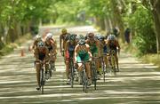 27 May 2012; Ireland's Gavin Noble, no. 44, in action during the Men's Triathlon. 2012 ITU World Triathlon Madrid, Casa de Campo Park, Madrid, Spain. Photo by Sportsfile