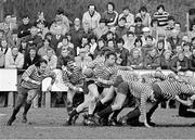 2 March 1982; Willie Duggan of Blackrock College RFC in action at Stradbrook in Blackrock Co. Dublin. Jim O'Kelly/Sportsfile