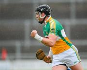 2 June 2012; Shane Dooley celebrates scoring the opening goal of the game for Offaly. Leinster GAA Hurling Senior Championship Quarter-Final, Offaly v Wexford, O'Connor Park, Tullamore, Co. Offaly. Picture credit: Ray McManus / SPORTSFILE