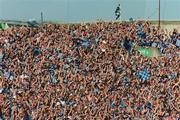 1 September 2002; Dublin supporters on Hill 16 during the Bank of Ireland All-Ireland Senior Football Championship Semi-Final match between Armagh and Dublin at Croke Park in Dublin. Photo by Pat Murphy/Sportsfile