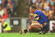 8 September 2002; Clare goalkeeper David Fitzgerald in the final moments of the Guinness All-Ireland Senior Hurling Championship Final match between Kilkenny and Clare at Croke Park in Dublin. Photo by Aoife Rice/Sportsfile