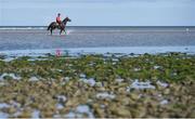 5 September 2017; A race horse and rider in the surf ahead of the Laytown Races at Laytown in Co Meath. Photo by Cody Glenn/Sportsfile