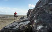 5 September 2017; A race horse and rider on the course ahead of the Laytown Races at Laytown in Co Meath. Photo by Cody Glenn/Sportsfile
