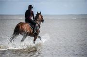 5 September 2017; Jack Blue, with Kate Harrington up, in the surf ahead of the Laytown Races at Laytown in Co Meath. Photo by Cody Glenn/Sportsfile