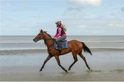 5 September 2017; A Race horse and rider in the surf ahead of the Laytown Races at Laytown in Co Meath. Photo by Cody Glenn/Sportsfile
