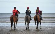 5 September 2017; Race horses and riders in the surf ahead of the Laytown Races at Laytown in Co Meath. Photo by Cody Glenn/Sportsfile