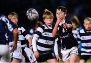 8 September 2017; Action from the Bank of Ireland Minis between Portloaise RFC and Old Belvedere RFC at the Guinness PRO14 Round 2 at the Guinness PRO14 Round 2 match between Leinster and Cardiff Blues at the RDS Arena in Dublin. Photo by Ramsey Cardy/Sportsfile