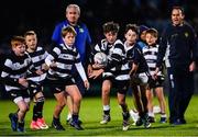 8 September 2017; Action from the Bank of Ireland Minis between Portloaise RFC and Old Belvedere RFC at the Guinness PRO14 Round 2 at the Guinness PRO14 Round 2 match between Leinster and Cardiff Blues at the RDS Arena in Dublin. Photo by Ramsey Cardy/Sportsfile