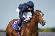 9 September 2017; Nelson, with Donnacha O'Brien up, on their way to winning the Willis Towers Watson Champions Juvenile Stakes during the Longines Irish Champions Weekend 2017 at Leopardstown Racecourse in Leopardstown, Co Dublin. Photo by Matt Browne/Sportsfile
