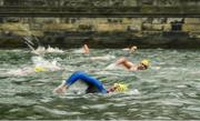 9 September 2017; Competitors in action during the mens race at the Jones Engineering 98th Dublin City Liffey Swim organised by Leinster Open Sea and supported by Jones Engineering, Dublin City Council and Swim Ireland. Photo by Ramsey Cardy/Sportsfile