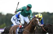 9 September 2017; Decorated Knight, with Andrea Atzeni up, celebrates after winning the QIPCO Irish Champion Stakes during the Longines Irish Champions Weekend 2017 at Leopardstown Racecourse in Leopardstown, Co Dublin. Photo by Matt Browne/Sportsfile