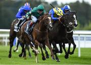 9 September 2017; Decorated Knight, with Andrea Atzeni up, on their way to winning the QIPCO Irish Champion Stakes during the Longines Irish Champions Weekend 2017 at Leopardstown Racecourse in Leopardstown, Co Dublin. Photo by Matt Browne/Sportsfile