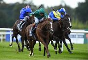 9 September 2017; Decorated Knight, with Andrea Atzeni up, on his way winning the QIPCO Irish Champion Stakes during the Longines Irish Champions Weekend 2017 at Leopardstown Racecourse in Leopardstown, Co Dublin. Photo by Matt Browne/Sportsfile