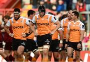9 September 2017; Cheetahs players react after conceding a try during the Guinness PRO14 Round 2 match between Munster and Cheetahs at Thomond Park in Limerick. Photo by Diarmuid Greene/Sportsfile