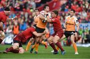 9 September 2017; Francois Venter of Cheetahs is tackled by Jean Kleyn and Ian Keatley of Munster during the Guinness PRO14 Round 2 match between Munster and Cheetahs at Thomond Park in Limerick. Photo by Diarmuid Greene/Sportsfile