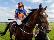 10 September 2017; Ryan Moore leads Order of St George into the parade ring after winning the Comer Group International Irish St Leger during the Longines Irish Champions Weekend 2017 at The Curragh Racecourse in Co Kildare. Photo by Cody Glenn/Sportsfile