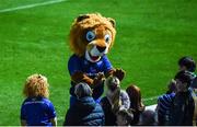 8 September 2017; Leinster mascot Leo the Lion with fans during the Guinness PRO14 Round 2 match between Leinster and Cardiff Blues at the RDS Arena in Dublin. Photo by David Fitzgerald/Sportsfile