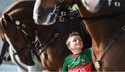 17 September 2017; Mayo supporter Brían Cullinane, aged 9, from Claremorris, Co Mayo, with the An Garda Síochána horses on Jones' Road ahead of the GAA Football All-Ireland Senior Championship Final match between Dublin and Mayo at Croke Park in Dublin. Photo by Daire Brennan/Sportsfile