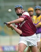 24 August 2002; David Forde of Galway during the All-Ireland U21 Hurling Championship Semi-Final match between Galway and Wexford at Semple Stadium in Thurles, Tipperary. Photo by Damien Eagers/Sportsfile