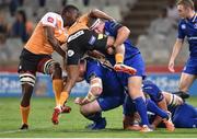 22 September 2017;  Sean Cronin of Leinster in action during the Guinness PRO14 Round 4 match between Cheetahs and Leinster at Toyota Stadium in Bloemfontein. Photo by Johan Pretorius/Sportsfile