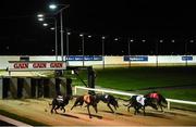 23 September 2017; Greyhounds, including eventual winner Native Chimes, 4, start the BoyleSports Bet €10 Get €50 Open 575 during Final Night at Shelbourne Park in Dublin. Photo by Cody Glenn/Sportsfile