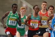 10 July 2012; Ireland's Sean Tobin, second from left, in action during his heat of the Men's 1500m where he finished 6th in a time of 3:49.11. IAAF World Junior Athletics Championships, Montjuïc Olympic Stadium, Barcelona, Spain. Picture credit: Brendan Moran / SPORTSFILE
