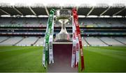 24 September 2017; A detailed view of the trophy ahead of the TG4 Ladies Football All-Ireland Junior Championship Final match between Derry and Fermanagh at Croke Park in Dublin. Photo by Cody Glenn/Sportsfile