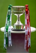 24 September 2017; A detailed view of the trophy ahead of the TG4 Ladies Football All-Ireland Junior Championship Final match between Derry and Fermanagh at Croke Park in Dublin. Photo by Cody Glenn/Sportsfile