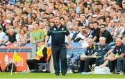 22 July 2012; Meath manager Seamus McEnaney issues instructions during the second half. Leinster GAA Football Senior Championship Final, Dublin v Meath, Croke Park, Dublin. Picture credit: Brian Lawless / SPORTSFILE