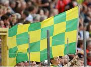 22 July 2012; A young Donegal fan waves his flag during the game. Ulster GAA Football Senior Championship Final, Donegal v Down, St. Tiernach's Park, Clones, Co. Monaghan. Picture credit: Oliver McVeigh / SPORTSFILE