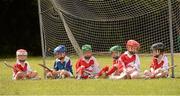 27 July 2012; Stars of the future, left to right, Seren Evans, Stephen Foley Cusack, James Martin, Tadhg Leahy, Kate O'Regan and Rory O'Donnell relax during the Kellogg's GAA Cúl Camp, Scoil Ui Chonaill GAA Club, Clontarf, Dublin. Picture credit: Ray McManus / SPORTSFILE