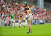 29 July 2012; Kilkenny's Henry Shefflin celebrates scoring his side's first point of the game. GAA Hurling All-Ireland Senior Championship Quarter-Final, Kilkenny v Limerick, Semple Stadium, Thurles, Co. Tipperary. Picture credit: Brian Lawless / SPORTSFILE
