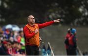 8 October 2017; St Brigid's manager Ger Flanagan during the Dublin County Senior Hurling Championship Quarter-Final match between Cuala and St Brigid's at O'Toole Park in Dublin. Photo by David Fitzgerald/Sportsfile