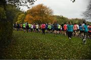 14 October 2017; Runners during the Malahide parkrun where Vhi ambassador and Olympian David Gillick took part as Vhi hosted a special event to celebrate their partnership with parkrun Ireland. David was on hand to lead the warm up for parkrun participants before completing the 5km course alongside newcomers and seasoned parkrunners alike. Vhi provided walkers, joggers, runners and volunteers at Malahide parkrun with a variety of refreshments in the Vhi Relaxation Area at the finish line. A qualified physiotherapist was also available to guide participants through a post event stretching routine to ease those aching muscles.  parkruns take place over a 5km course weekly, are free to enter and are open to all ages and abilities, providing a fun and safe environment to enjoy exercise. To register for a parkrun near you visit www.parkrun.ie. New registrants should select their chosen event as their home location. You will then receive a personal barcode which acts as your free entry to any parkrun event worldwide. Photo by Cody Glenn/Sportsfile