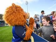 14 October 2017; Leinster supporters with Leo The Lion ahead of the European Rugby Champions Cup Pool 3 Round 1 match between Leinster and Montpellier at the RDS Arena in Dublin. Photo by Stephen McCarthy/Sportsfile
