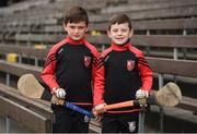 22 October 2017; Ballygunner supporters, brothers Richard, age 9, and Callum Crowley, age 7, from Killure, Co. Waterford, prior to the Waterford County Senior Hurling Final match between Ballygunner and De La Salle at Walsh Park in Waterford. Photo by Seb Daly/Sportsfile