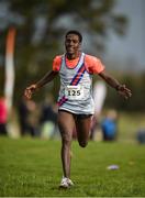 22 October 2017; Hiko Tonosa, Dundrum South Dublin A.C., celebrates on his way to winning the Senior Men's race during the Autumn Open Cross Country Festival at the National Sports Campus in Abbotstown, Dublin. Photo by Cody Glenn/Sportsfile
