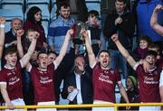 22 October 2017; Joint captains Patrick O'Connor and Ciaran Lyng of St Martin's lift the Bob Bowe Cup after the Wexford County Senior Hurling Championship Final match between Oulart-The Ballagh and St Martin's GAA Club at Innovate Wexford Park in Wexford. Photo by Matt Browne/Sportsfile