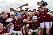 22 October 2017; St Martin's players celebrate after the Wexford County Senior Hurling Championship Final match between Oulart-The Ballagh and St Martin's GAA Club at Innovate Wexford Park in Wexford. Photo by Matt Browne/Sportsfile