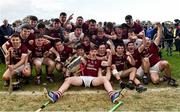 22 October 2017; St Martin's players celebrate with the Bob Bowe Cup after the Wexford County Senior Hurling Championship Final match between Oulart-The Ballagh and St Martin's GAA Club at Innovate Wexford Park in Wexford. Photo by Matt Browne/Sportsfile
