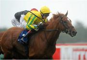 16 August 2012; Piri Wango, with Emmet McNamara up, on their way to winning the 'Saw Doctors' Handicap ahead of second placed Flic Flac, with Pat Smullen up, hidden. Leopardstown Racecourse, Leopardstown, Co. Dublin. Picture credit: Pat Murphy / SPORTSFILE