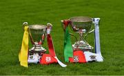 23 October 2017; The New Ireland Assurance Company Perpetual Challenge Cup, senior hurling, left, and The Clerys Perpetual Cup, senior football, with the jerseys of the respective 2017 finalists during a Dublin SFC/SHC Finals Media Day at Parnell Park in Dublin. Piaras Ó Mídheach/Sportsfile
