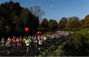 29 October 2017; A general view of runners making their way through Pheonix Park during the SSE Airtricity Dublin Marathon 2017. 20,000 runners took to the Fitzwilliam Square start line to participate in the 38th running of the SSE Airtricity Dublin Marathon, making it the fifth largest marathon in Europe. Photo by David Fitzgerald/Sportsfile