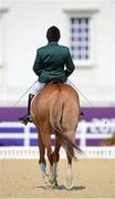 3 September 2012; Ireland's Eilish Byrne, from Dundalk, Co. Louth, aboard Youri, enters the arena to compete in the individual freestyle test - grade II. London 2012 Paralympic Games, Equestrian, Greenwich Park, Greenwich, London, England. Picture credit: Brian Lawless / SPORTSFILE