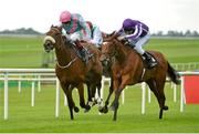 9 September 2012; Up, right, with Joseph O'Brien up, races Caponata, with Pat Smullen up, towards the finish line on their way to winning the Irresistible Jewel Blandford Stakes. Curragh Racecourse, the Curragh, Co. Kildare. Picture credit: Barry Cregg / SPORTSFILE